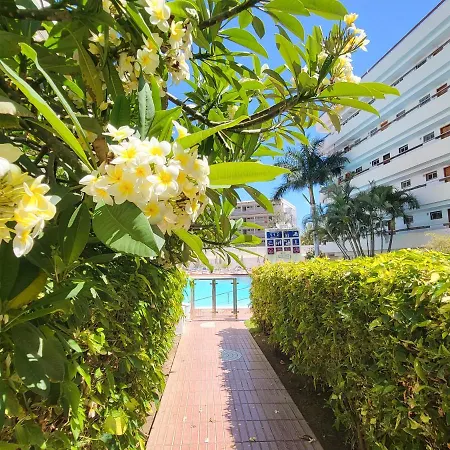Rt-las Camelias Playa del Inglés